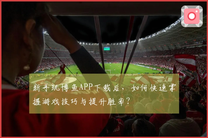 新手玩博鱼APP下载后，如何快速掌握游戏技巧与提升胜率？